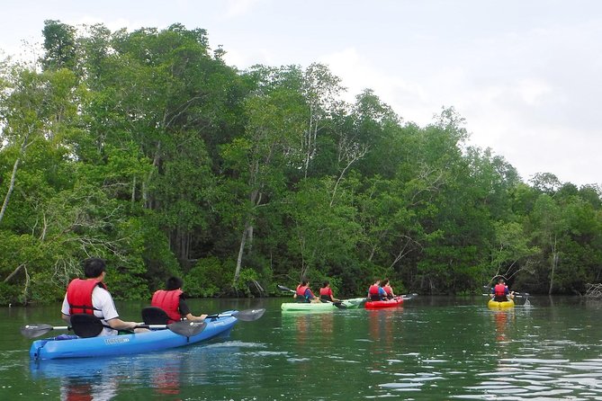 Mangrove Kayaking Adventure in Singapore - The open-water paddle before the mangroves