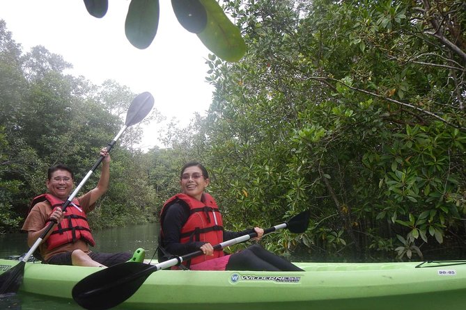 Mangrove Kayaking Adventure in Singapore - What the $85.59 price covers