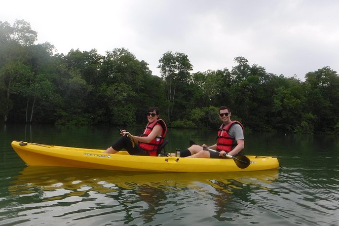 Mangrove Kayaking Adventure in Singapore - What to bring for a comfortable four hours