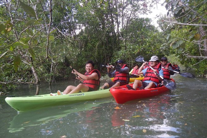 Mangrove Kayaking Adventure in Singapore - From Changi Point to the Pulau Ubin launch point