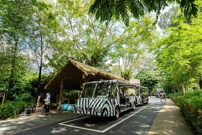 Morning at the Zoo with 1-way Transfer (Free & Easy) - Getting to Mandai from your hotel