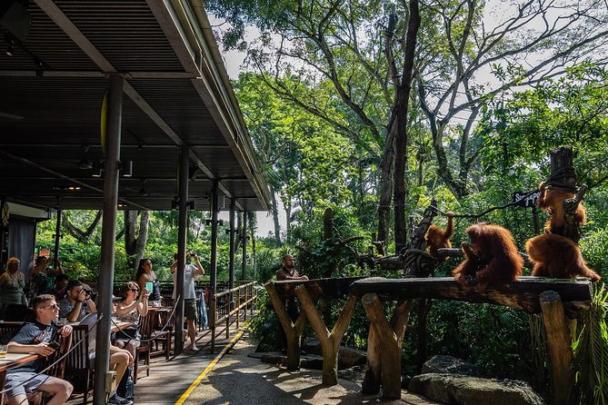 Morning at the Zoo with 1-way Transfer (Free & Easy) - Timing, crowds, and practical comfort