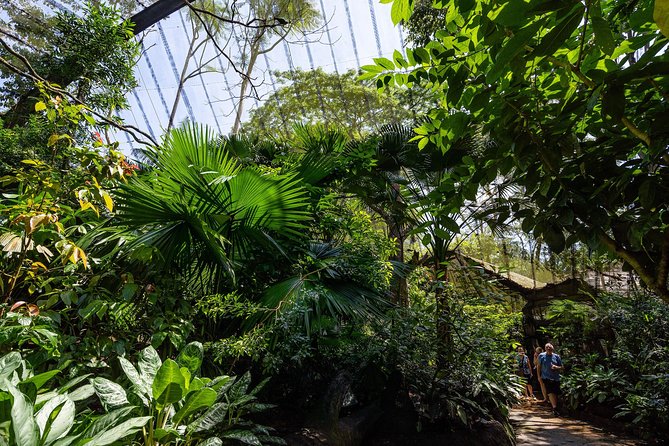 Morning at the Zoo with 1-way Transfer (Free & Easy) - Who gets the most from this tour