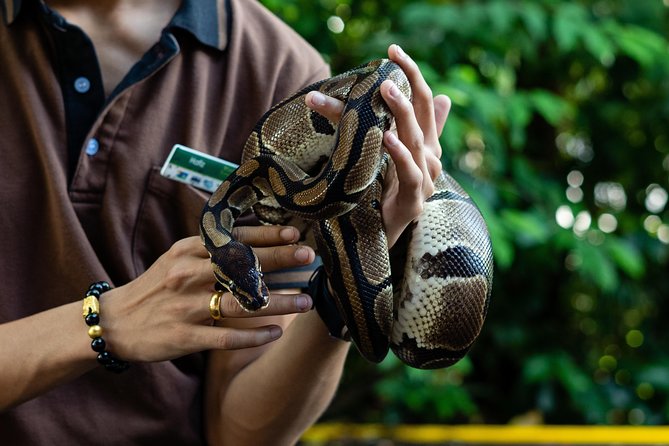 Morning at the Zoo with 1-way Transfer (Free & Easy) - Should you book the Morning at the Zoo experience?