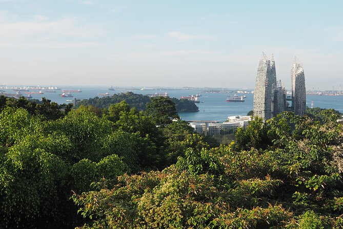 Mount Faber, Henderson Waves and Southern Ridges Tour - Why this short hike feels different from ordinary Singapore sightseeing
