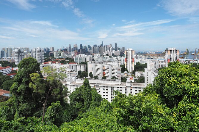 Mount Faber, Henderson Waves and Southern Ridges Tour - Starting at Hort Park and Alexandra Park