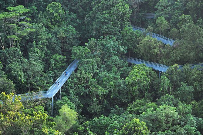 Mount Faber, Henderson Waves and Southern Ridges Tour - Henderson Waves, Singapore’s most unusual footbridge