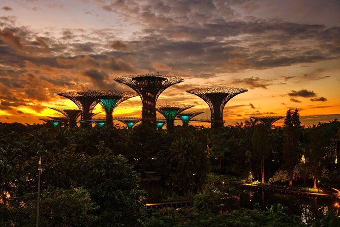 Night out with 6 Food Tastings, Spectra & Garden Rhapsody Shows - Gardens by the Bay and the special food connection