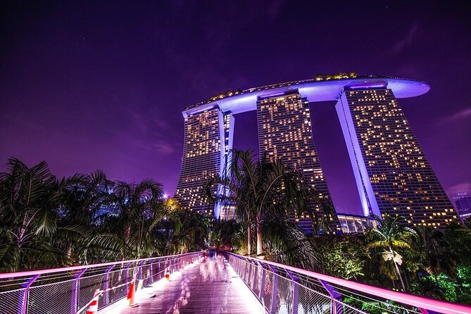 Night out with 6 Food Tastings, Spectra & Garden Rhapsody Shows - Garden Rhapsody under the Supertrees