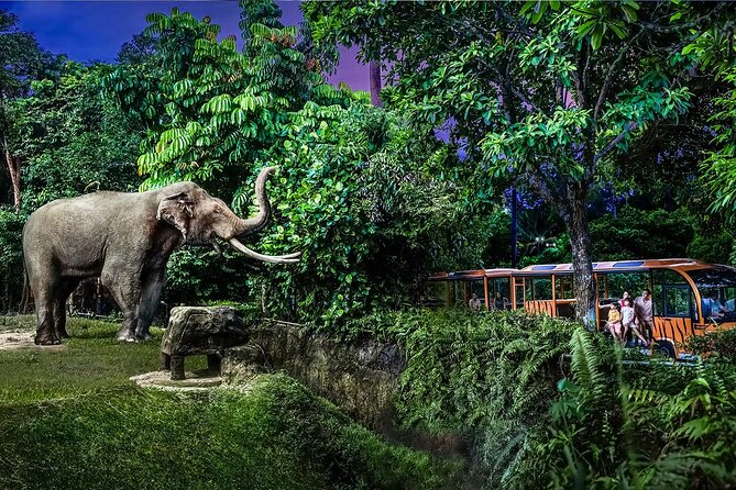 Night Safari Singapore Skip the Line Tickets with Tram Ride - What makes the three named zones useful