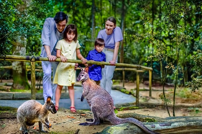 Night Safari Singapore Skip the Line Tickets with Tram Ride - Is $69 a fair price?