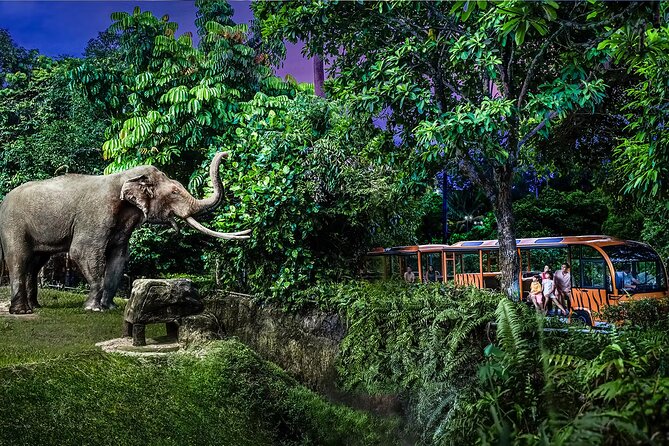 Night Safari Tickets with Tram Ride - What you can expect inside the Night Safari