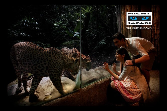 Night Safari Tour with Transfer - Walking trails for leopards, tigers, and wallabies