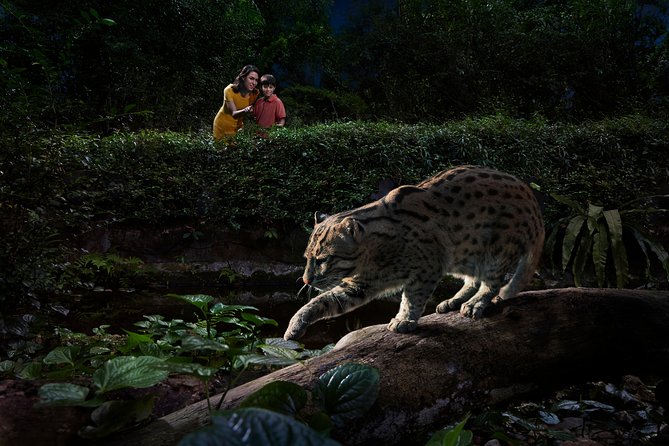 Night Safari with Buffet Dinner with hotel pick-up - What this Night Safari package actually includes
