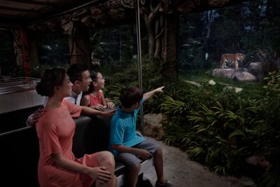 Night Safari with Buffet Dinner with hotel pick-up