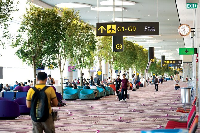 Private Arrival Transfer From Singapore Airport or Port to Hotel - Timing, delays, and communication
