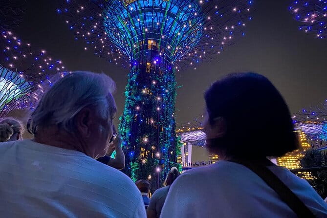 Private City Car Tour Singapore (4 Hours or 8 Hours) - Gardens by the Bay: Allow Time for the Big Attraction