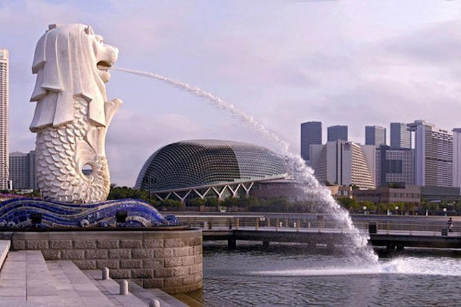Private Customised Singapore Airport Layover Tour By Car - Chinatown, temples, and a proper hawker meal