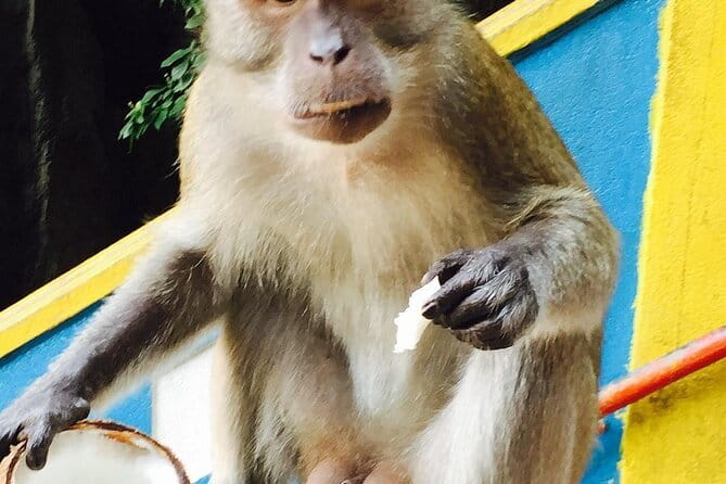 Private Day Trip of Kuala Lumpur and Malacca from Singapore - Cheng Hoon Teng Temple and Jonker Street