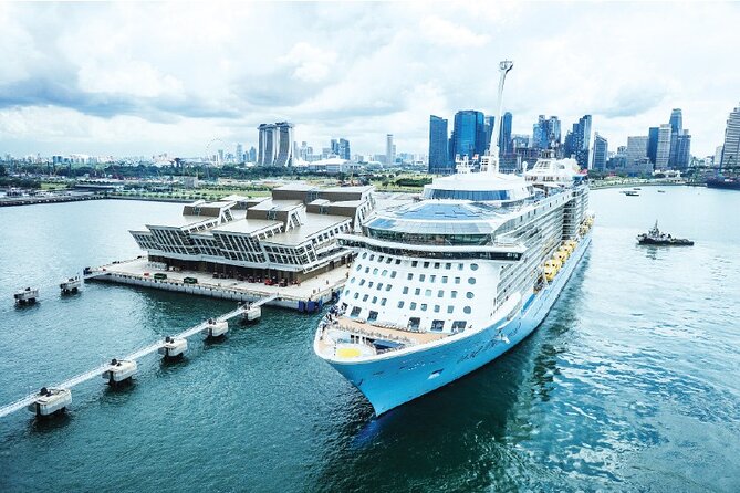 Private Departure Transfer From Singapore Hotel to Airport or Port - What the ride does not include