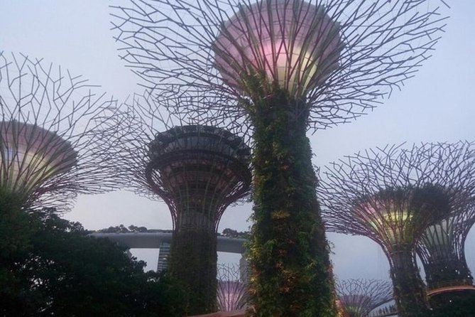 Private Full Day Singapore Highlights Tour - Singapore Flyer for the broad city view