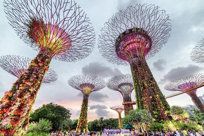 Private Full Day Singapore Highlights Tour - Little India Arcade and lunch
