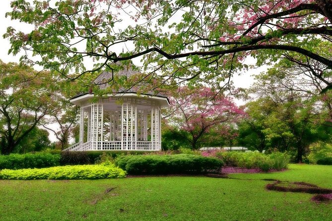 Private Half Day Singapore City Tour with Botanical Orchid Garden - Key points at a glance