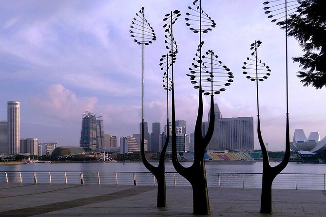 Private Half Day Singapore City Tour with Botanical Orchid Garden - Chinatown in a 50-minute introduction