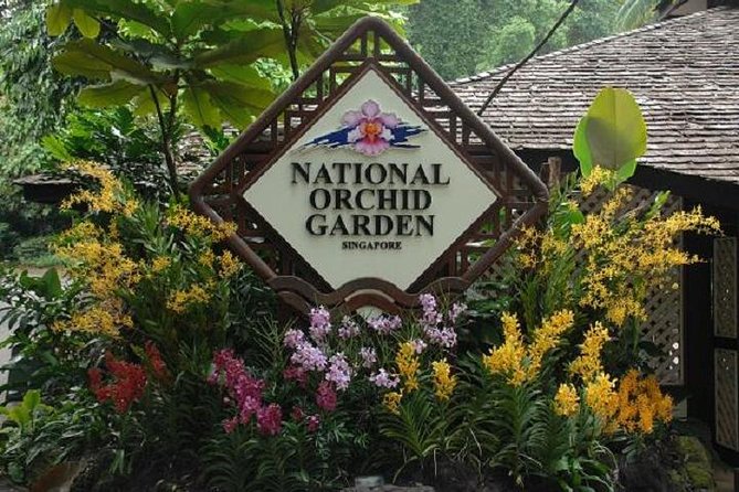 Private Half Day Singapore City Tour with Botanical Orchid Garden - The real advantage is the guide