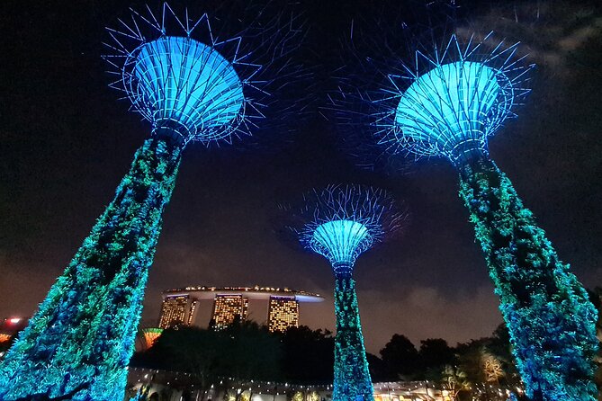 Private Mini-Bus Transfer to Attractions in Singapore - Planning a zoo and wildlife day