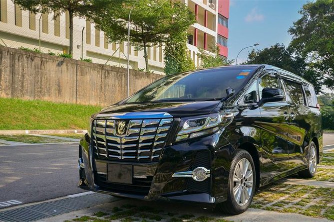 Private Mini Van From Singapore Airport To Hotel In City - From Changi arrival hall to your hotel door