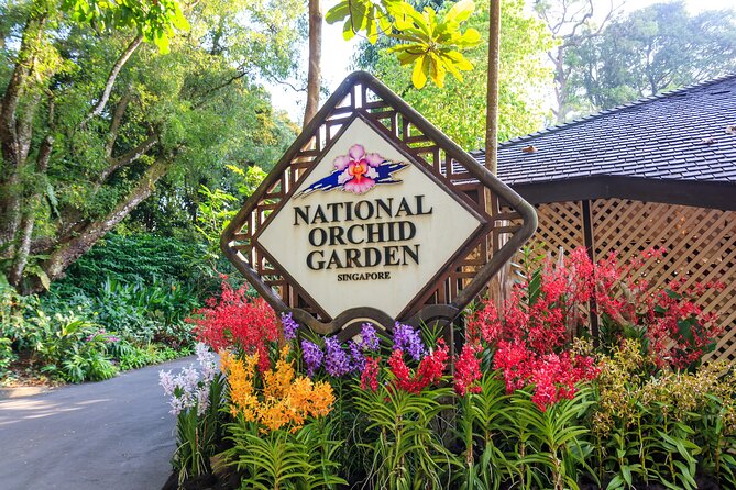 Private Singapore City Tour and National Orchid Garden - A fast but thoughtful introduction to Singapore