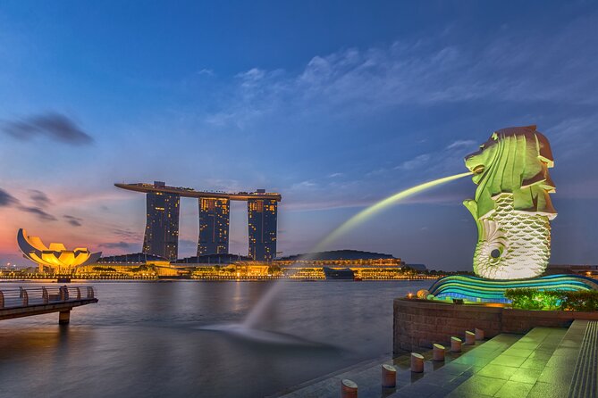 Private Singapore Customized Tour With Driver in small group - China Square and the Buddha Tooth Relic Temple
