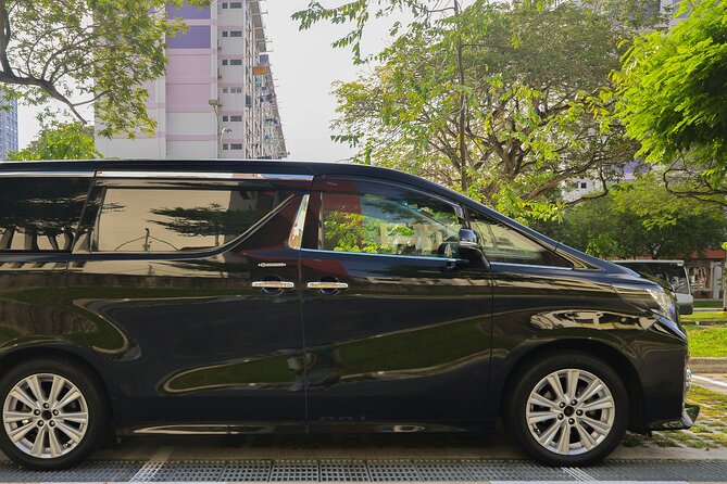 Private Singapore Departure in Mini Van from Hotel to Changi Airport - A calm final ride through Singapore