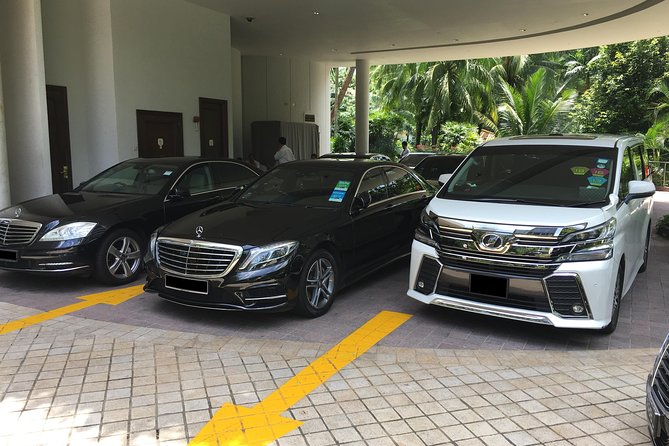 Private Singapore Departure Transfer: City to Airport or Cruise Terminal - Airport departures and the 150-minute rule