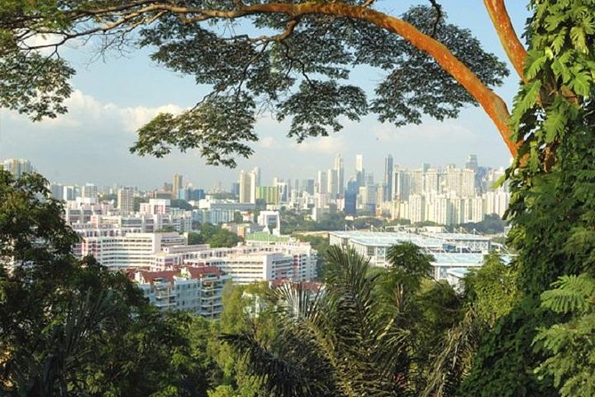 Private Singapore Full Day Round Island Tour with River Cruise - Mount Faber and the wider island view