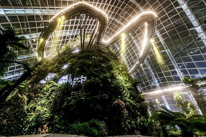 Private Singapore Night Tour with Gardens by the Bay&River Cruise - Why Singapore Works So Well After Dark