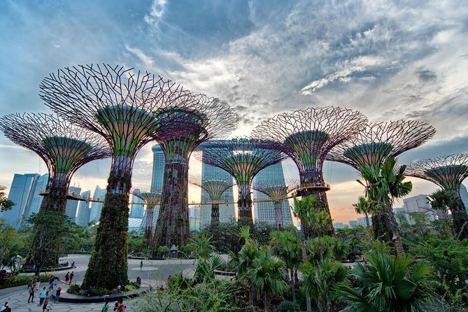 Private Singapore Night Tour with Gardens by the Bay&River Cruise - Flower Dome: A Cool Start to the Evening