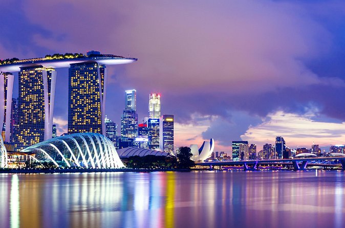 Private Tour:Singapore City Tour with Half Day Sentosa Island - Why families may like the format