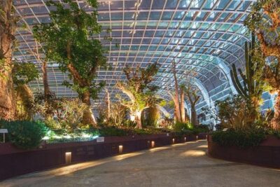 SandsSkyPark+GardensbytheBay(FlowerDome&Jurassic World)Transfers