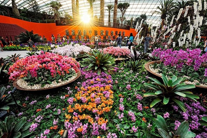 SandsSkyPark+GardensbytheBay(FlowerDome&Jurassic World)Transfers - Should you book this Sands SkyPark and Gardens package?