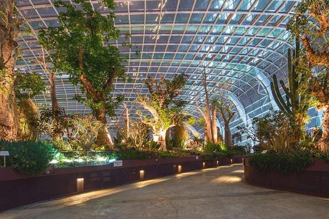 SandsSkyPark+GardensbytheBay(FlowerDome&Jurassic World)Transfers - Gardens by the Bay: allow more than one quick circuit