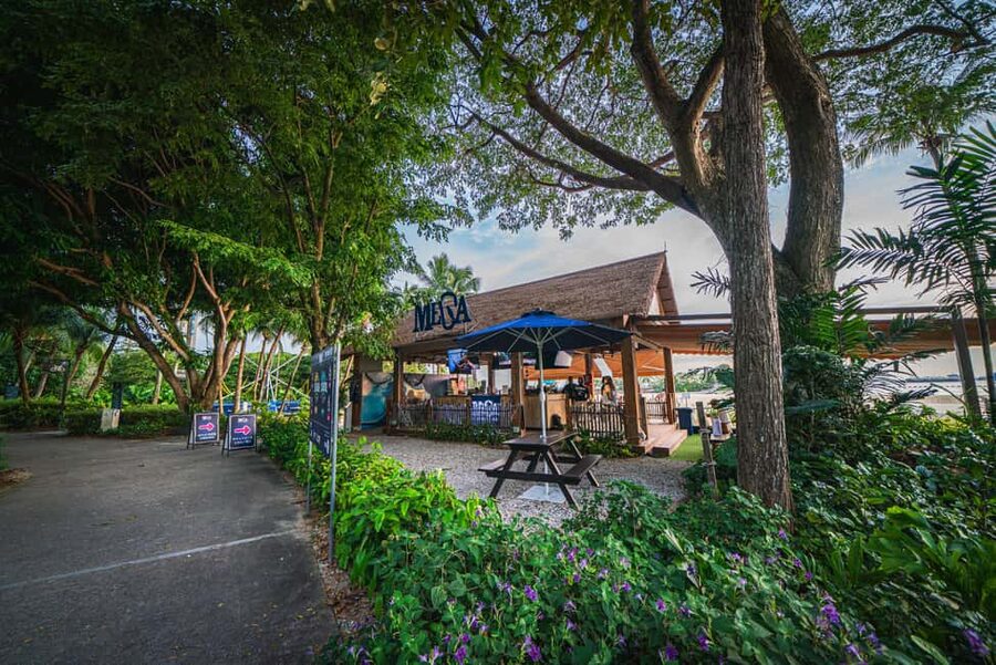 Sentosa Island: Ticket to Mega Adventure Park - Choosing your day at the park