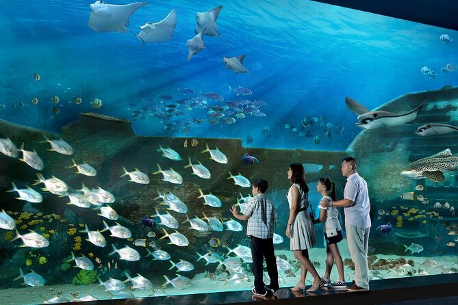 Sentosa Luxe: A Premium Half-Day Island Discovery Private Tour - Key points to know before booking