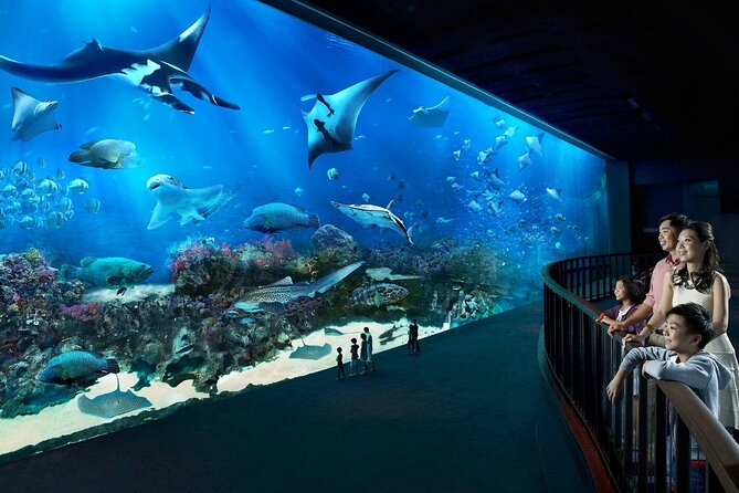 Sentosa Luxe: A Premium Half-Day Island Discovery Private Tour - Imbiah Lookout gives you the first wide view