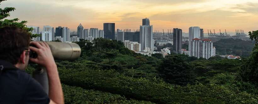 Singapore: 7-Hour Full Coverage Private Tour with a Local - Henderson Waves and a change of pace