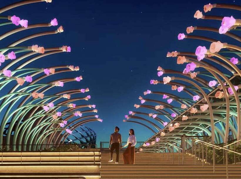 Singapore After Dark:Small Group Sentosa Tour with Cable Car - Pickup, timing, and the four-hour shape