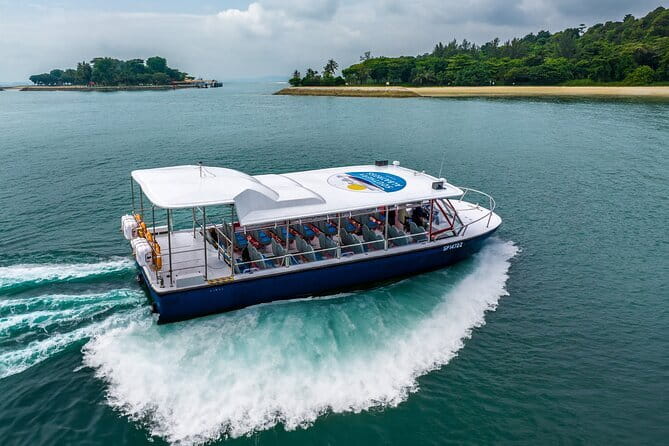 Singapore - Albatross Speedboat Adventures Cruising in Sentosa - Key points to know before you book