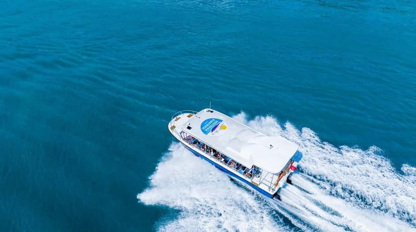 Singapore: Albatross Speedboat Adventures Ticket - Key points to know before you book