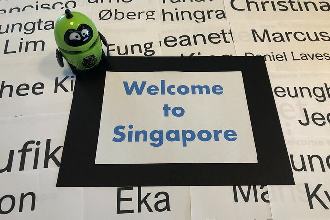 Singapore Arrival Ground Transfer in Limo-Bus - Is the $31 price good value?
